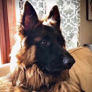 Meet your Posher, Heather